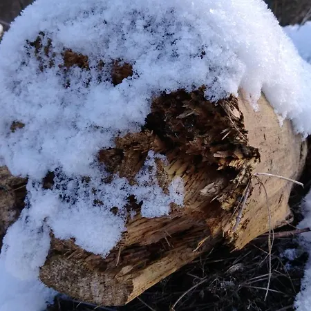 Familienbauernhof Gunzer-sank Daire