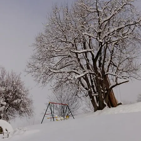 Familienbauernhof Gunzer-sank *