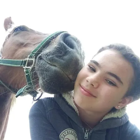 Familienbauernhof Gunzer-sank * Eberstein