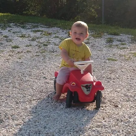 Familienbauernhof Gunzer-sank Daire *