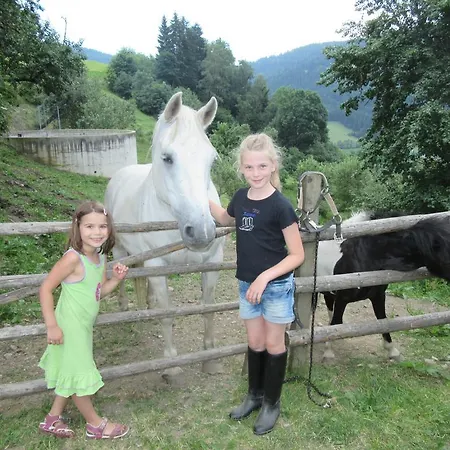 Daire Familienbauernhof Gunzer-sank