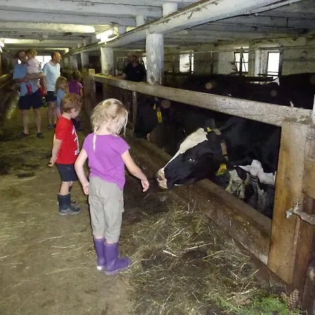 Familienbauernhof Gunzer-sank Daire *