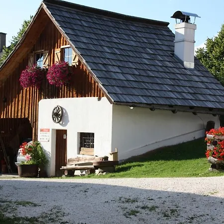 Familienbauernhof Gunzer-sank Apartment