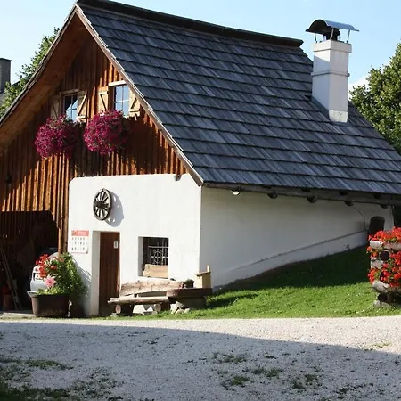 Familienbauernhof Gunzer-sank Daire