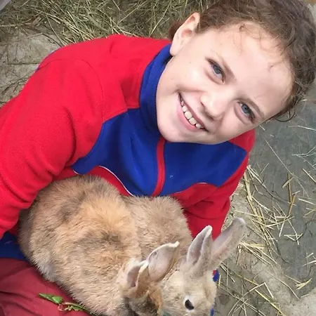 Daire Familienbauernhof Gunzer-sank *