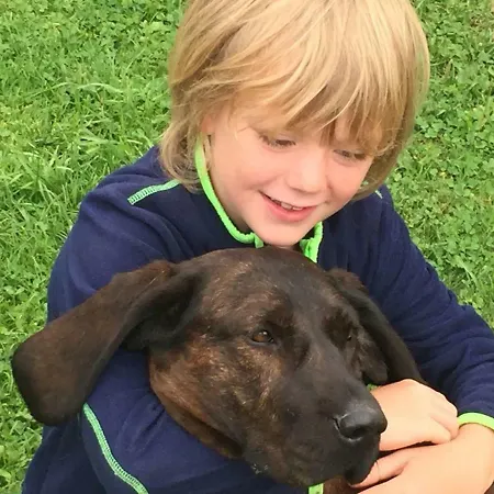 Daire Familienbauernhof Gunzer-sank Eberstein