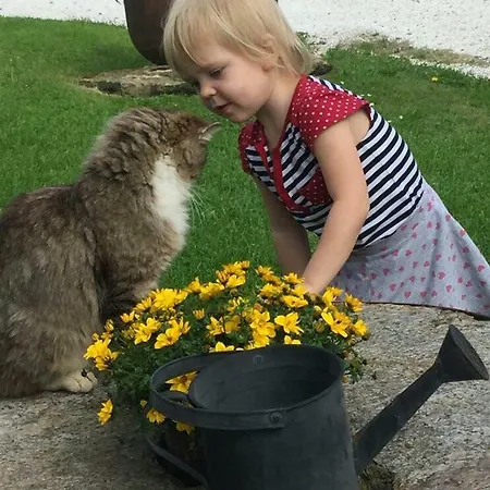 Familienbauernhof Gunzer-sank Daire Eberstein