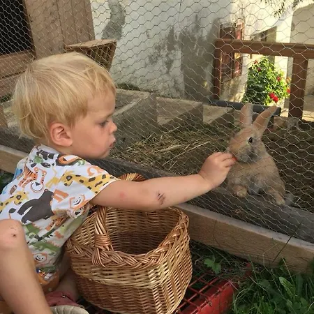 Daire Familienbauernhof Gunzer-sank *