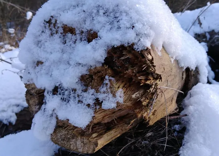 Familienbauernhof Gunzer-sank Apartament
