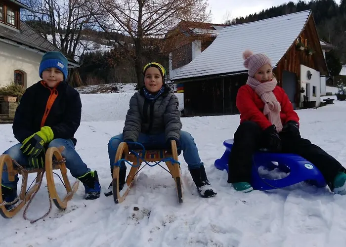 Familienbauernhof Gunzer-sank Appartamento Eberstein
