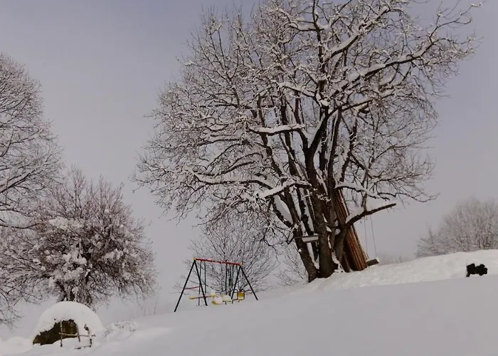 Familienbauernhof Gunzer-sank *