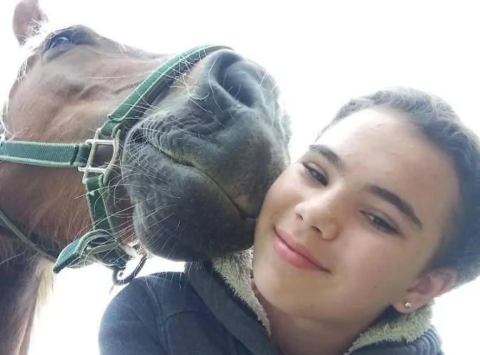 Familienbauernhof Gunzer-sank * Eberstein