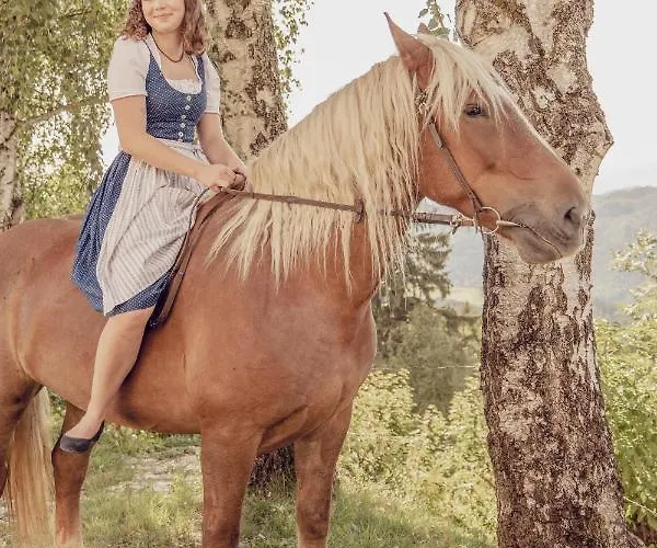 Familienbauernhof Gunzer-sank Appartamento