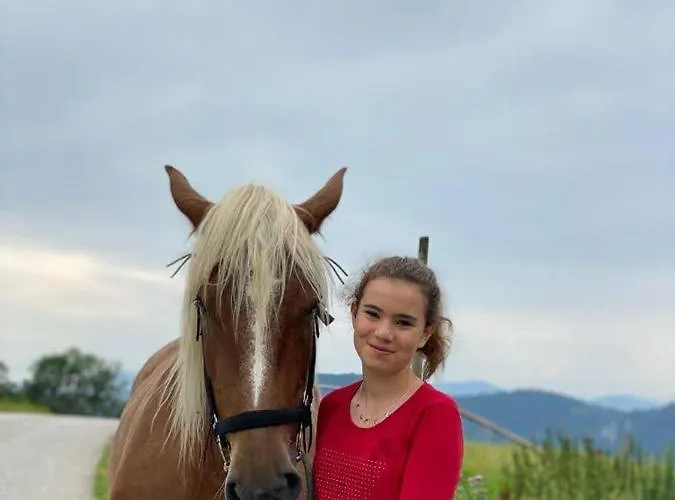 Familienbauernhof Gunzer-sank *