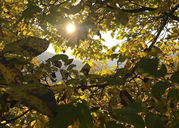 Familienbauernhof Gunzer-sank