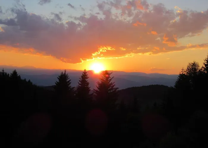 Familienbauernhof Gunzer-sank * Eberstein