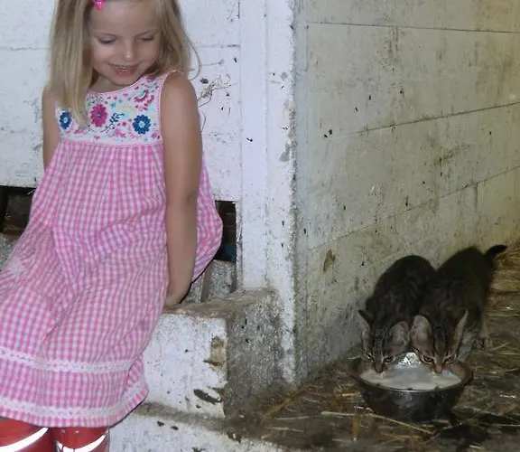 Familienbauernhof Gunzer-sank *