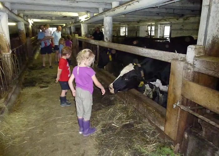 Familienbauernhof Gunzer-sank Apartament *