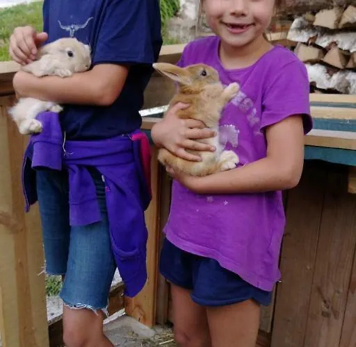 Familienbauernhof Gunzer-sank