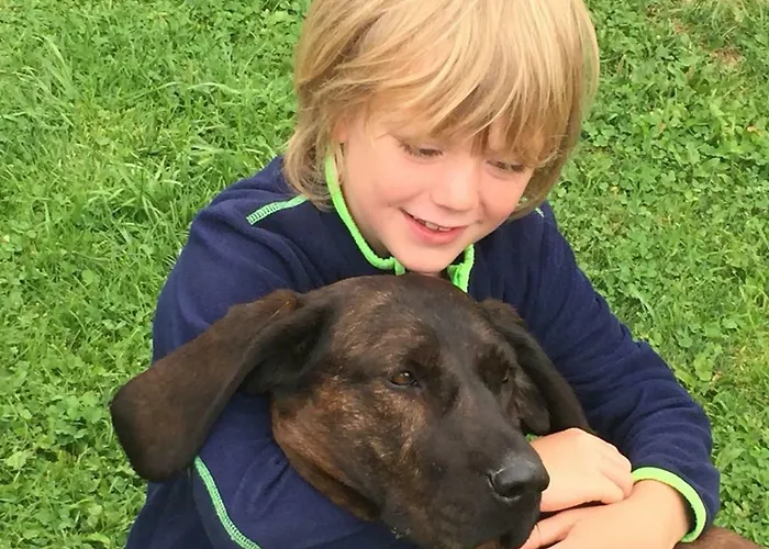 Apartament Familienbauernhof Gunzer-sank Eberstein