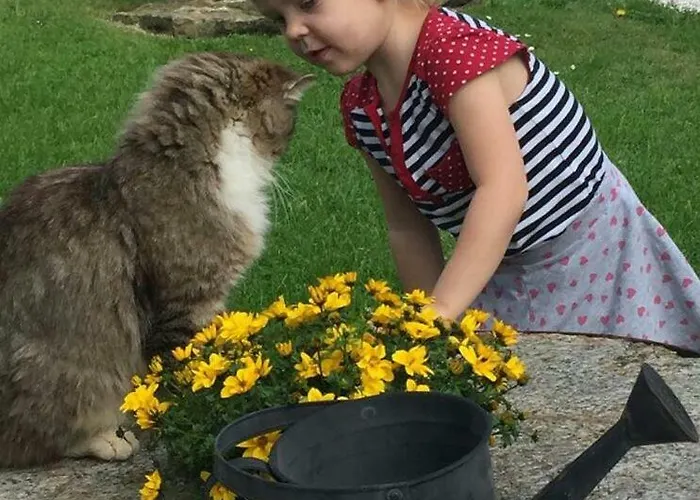 Familienbauernhof Gunzer-sank Appartamento Eberstein