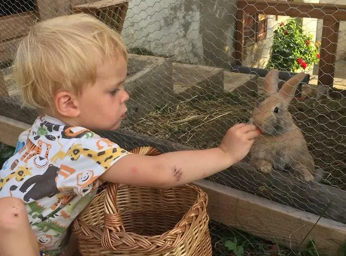 Appartamento Familienbauernhof Gunzer-sank *